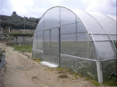 経済的な野菜用トンネルビニールハウス